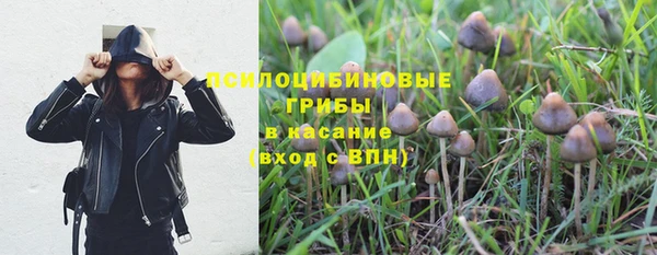 эйфоретик Армянск