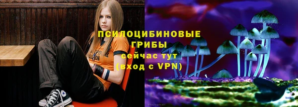 прущая мука Аркадак