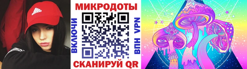 как найти наркотики  Ленинск  Галлюциногенные грибы MAGIC MUSHROOMS 