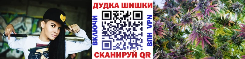 Конопля сатива  цена наркотик  Ленинск 